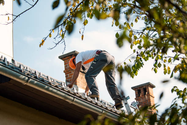 Best Roof Gutter Cleaning  in Laverne, OK